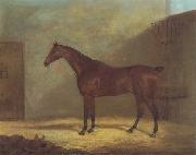 John Boultbee A Chestnut Hunter With A Groom By a Building USA oil painting artist